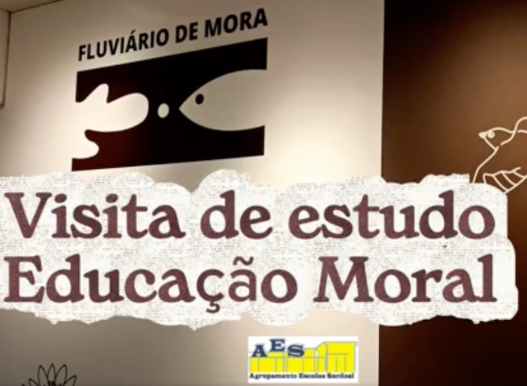 Imagem não gravada 1