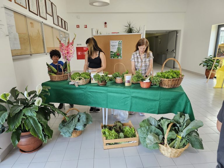 Mercado Horta Bio